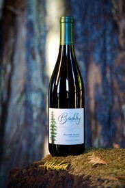 2021 Bevel Vineyard Pinot Noir